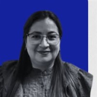 Ing. Nery Alemán